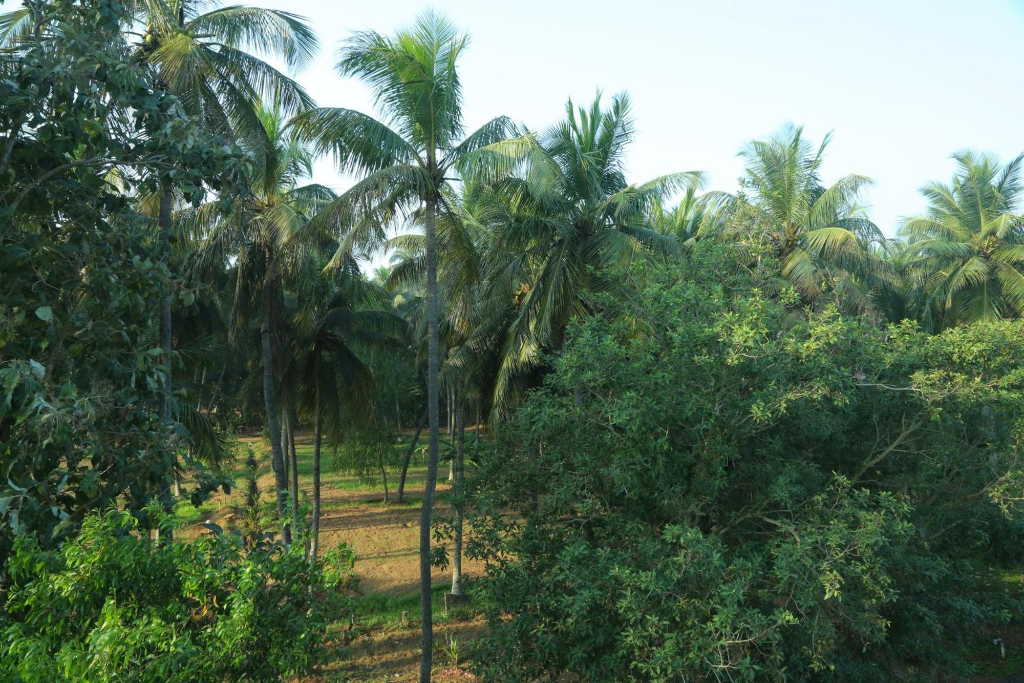 Misty Ocean - A Bergamont Group Of Hotel Kuilapalayam Luaran gambar